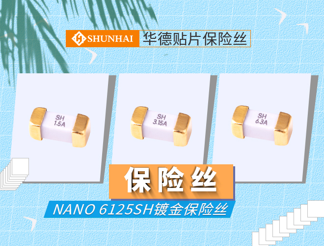 6125慢斷保險絲_6125抗浪湧保險絲